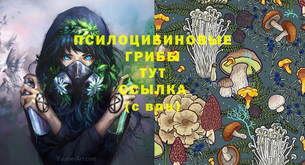 наркотики Бородино