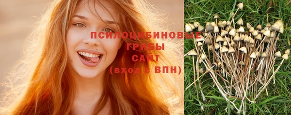 гидра Бронницы