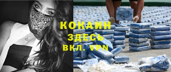 гидра Бронницы