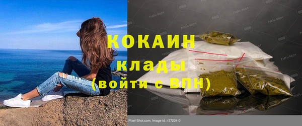 гидра Бронницы