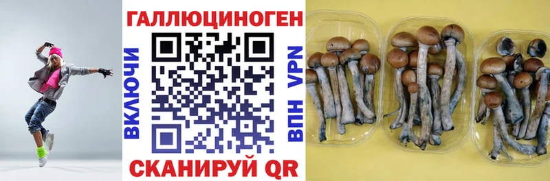 где продают наркотики  Обь  Галлюциногенные грибы мухоморы 