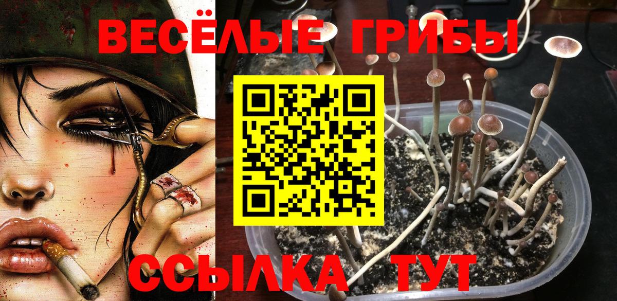 Галлюциногенные грибы GOLDEN TEACHER Обь