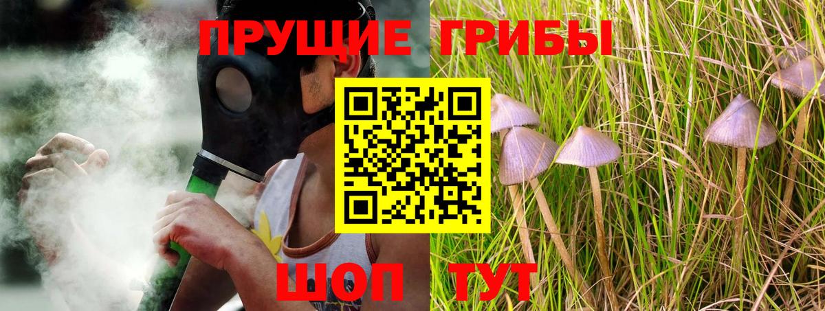 Псилоцибиновые грибы Psilocybine cubensis  Вход с VPN  Псилоцибиновые грибы GOLDEN TEACHER  Обь 